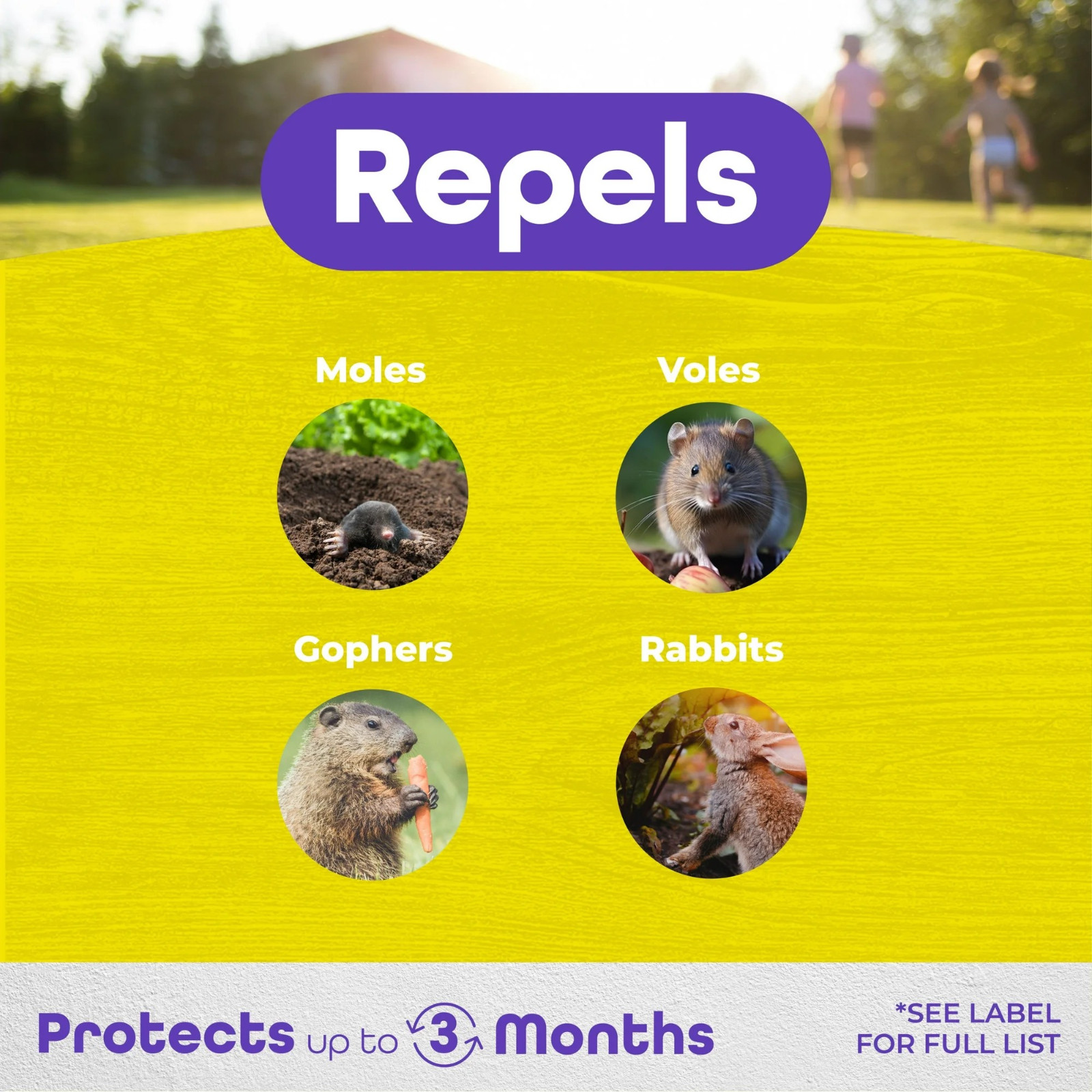 Mole Max 10 lb Mole & Vole Repellent Granules Ready-to-Use