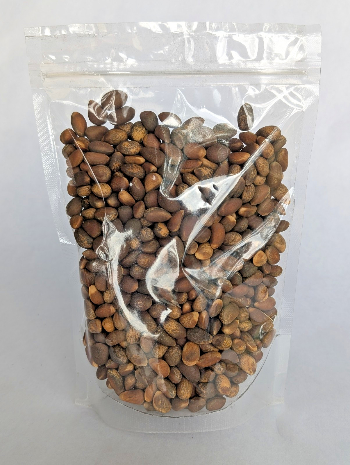 Piñon Pine Nuts, New Mexico Pinon, 2024, 8oz Raw | Navajo Nation, Zuni Mountains