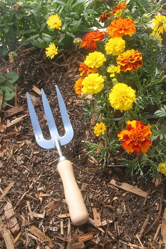 Weeding Fork Hand Garden Tool Stainless Steel Wood Handle Gardening Implement