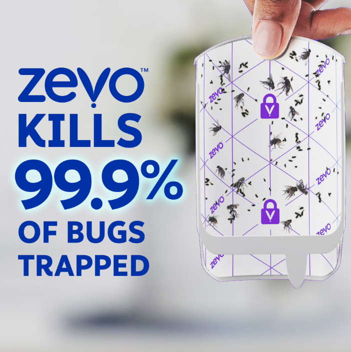 2 Pack Zevo Flying Insect Indoor Fly Trap Full Size: Easy, Mess-Free Solution –