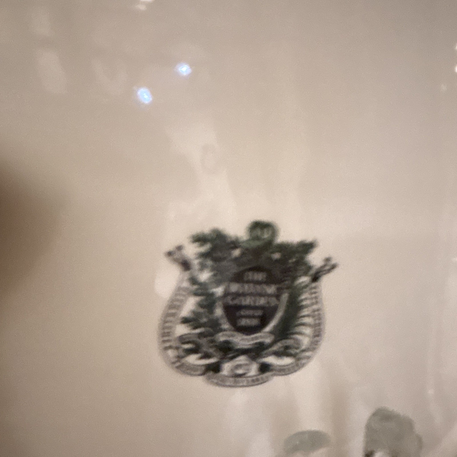 Portmeirion Botanic Garden Dinner Plate Aquilegia Gracilis Slender Columbine