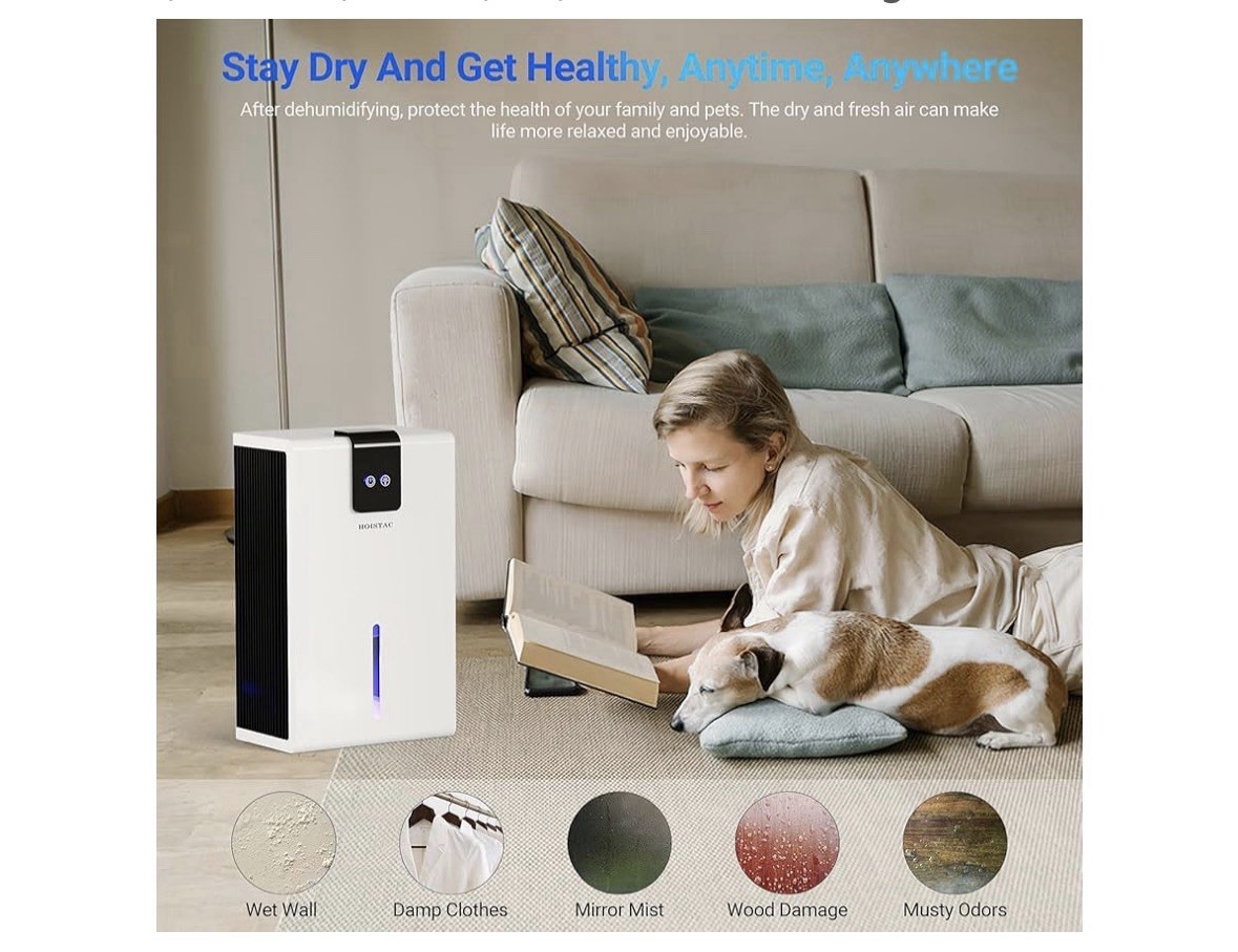 Portable Room Dehumidifier 95oz 800sqft Quiet Home Bedroom RV 7 LED