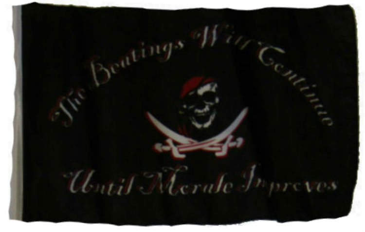12×18 12″x18″ Jolly Roger Pirate Beatings Continue Sleeve Flag Boat Car Garden
