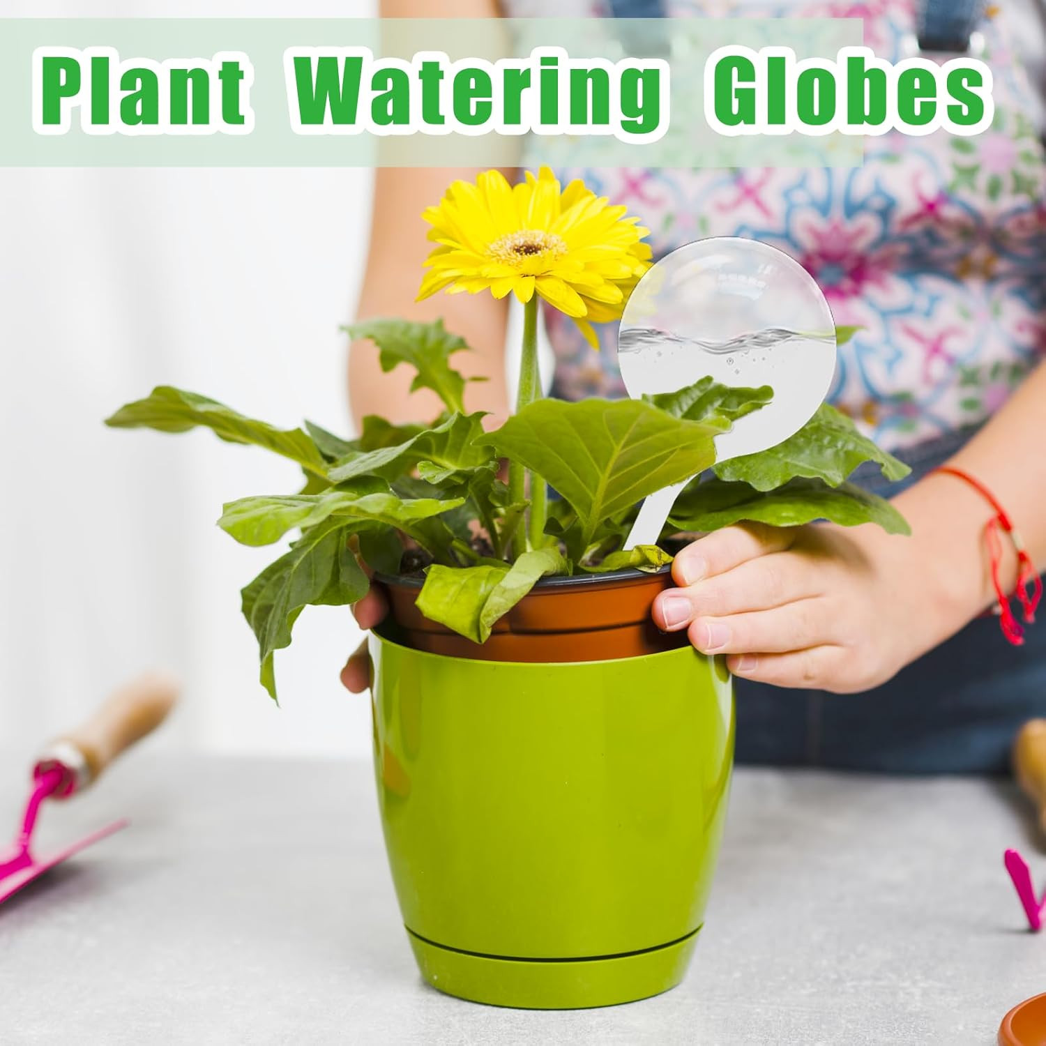12 PCS Large Plastic Self-Watering Bulbs,Clear Watering Globes,Plant Watering Gl