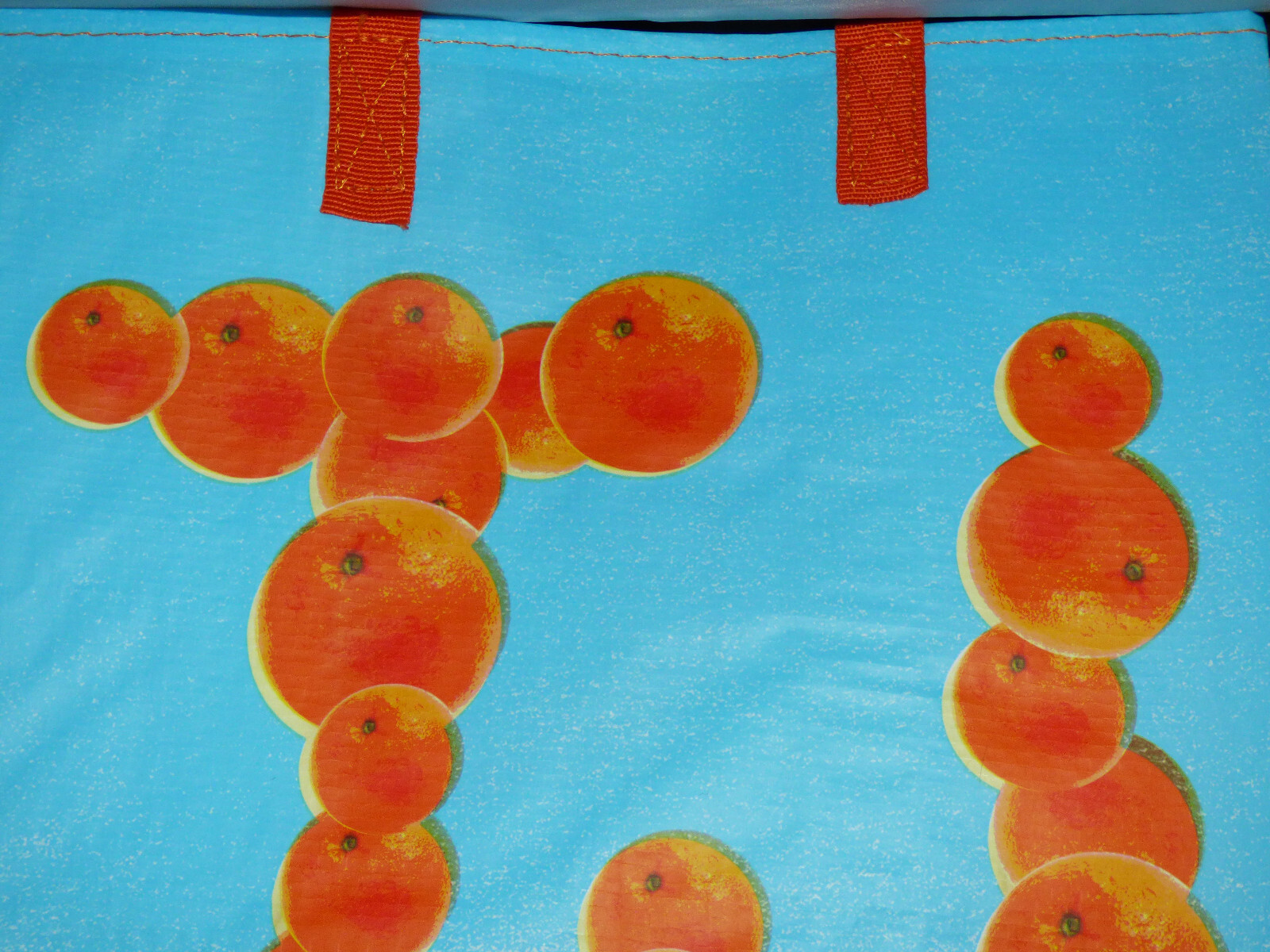 Trader Joe’s – Reusable Grocery Bag – Florida