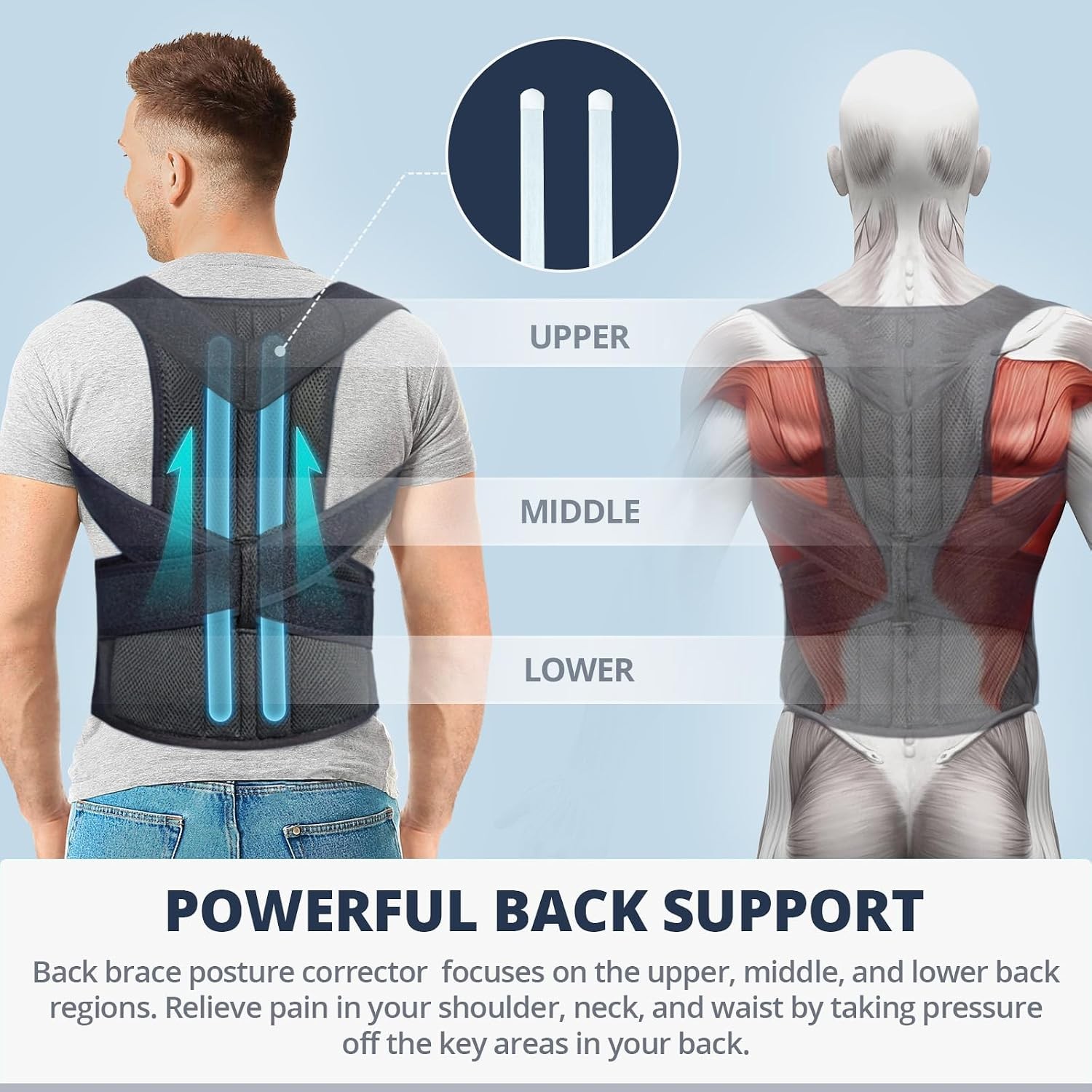 Fitsupport Back Brace Posture Corrector for Women and Men Back Lumbar…