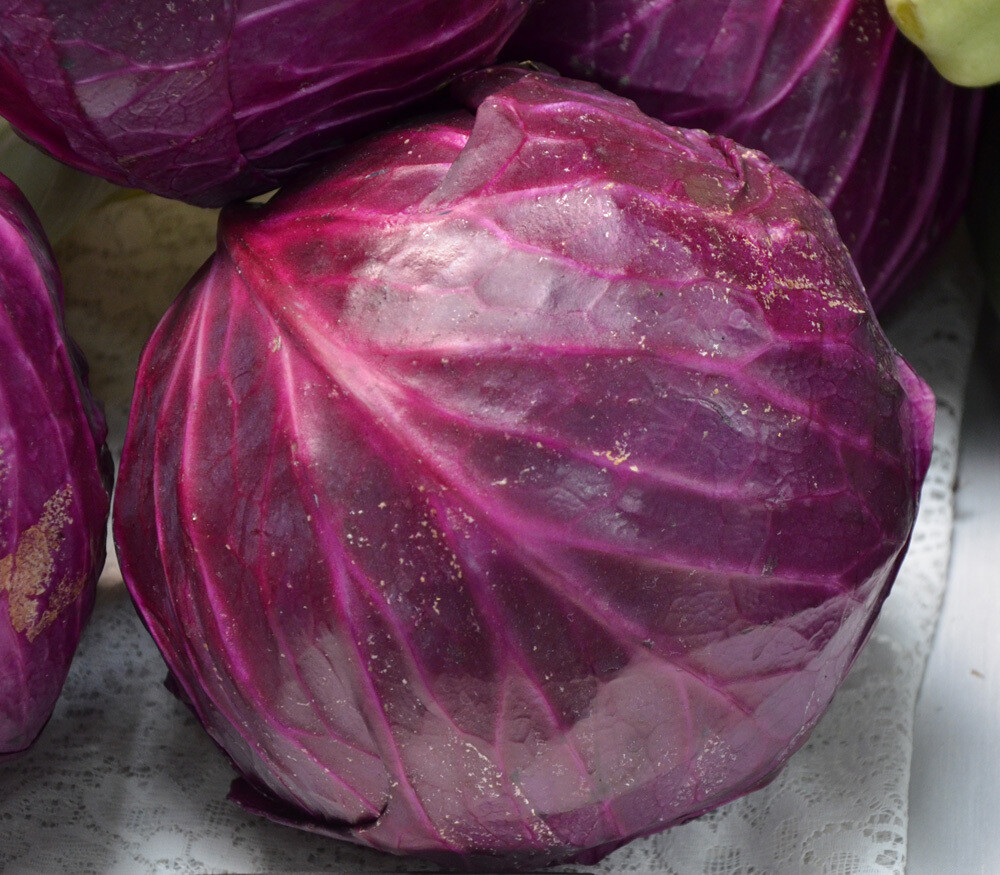 Red Acre Cabbage Seeds, Coleslaw, NON-GMO, Variety Sizes, FREE SHIPPING
