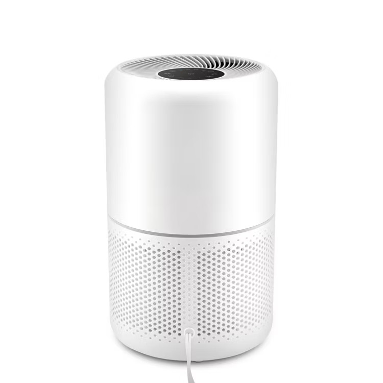 LEVOIT Core 300 Air Purifier, Removes Dust Smoke Odor , Up to 1073 ft², HEPA
