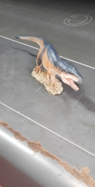 W-Dragon 1/35 Giganotosaurus 1.0 Ver. Dinosaur Statue Animal Collector IN STOCK