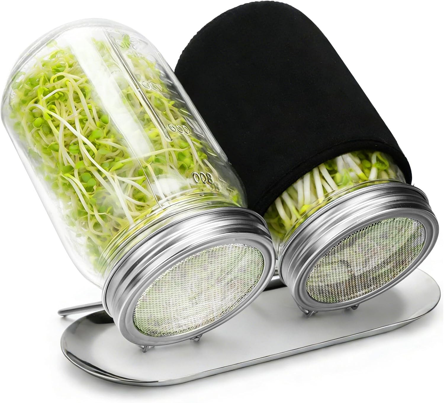 Sprouting Kit with Stainless Steel Screen Sprouting Lids & Glass Mason Jars & Li