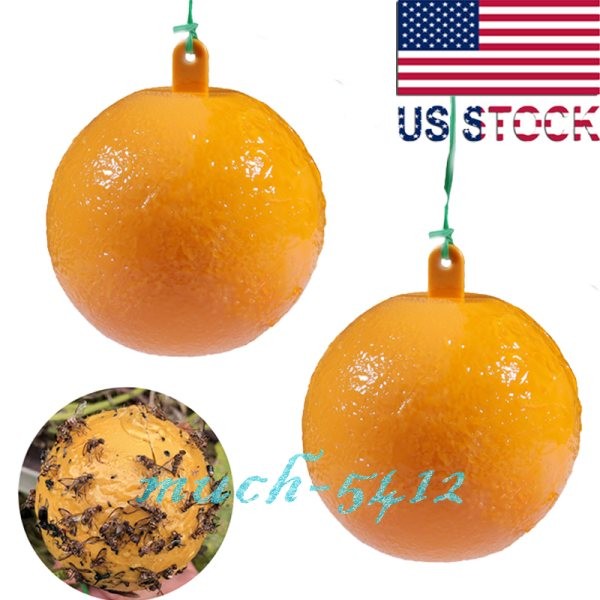 Bug Fruit Fly Traps Sticky Ball Fungus Gnat Pest Control Ball for Indoor Outdoor