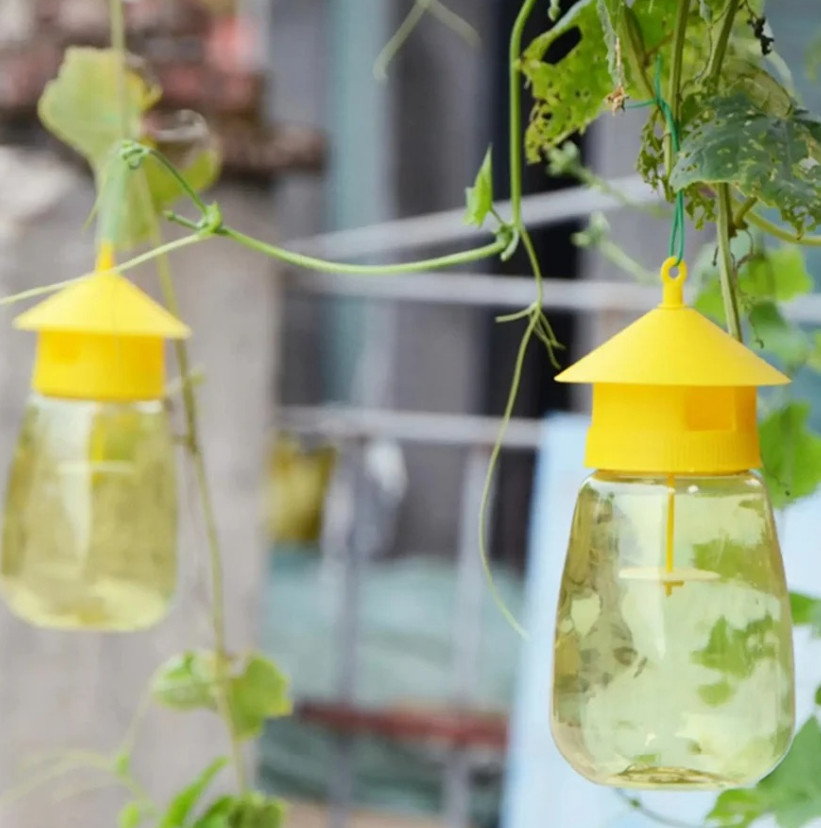 3pcs Fruit Fly & Insect Trap – Outdoor Plastic Hanging Drosophila Killer – NEW