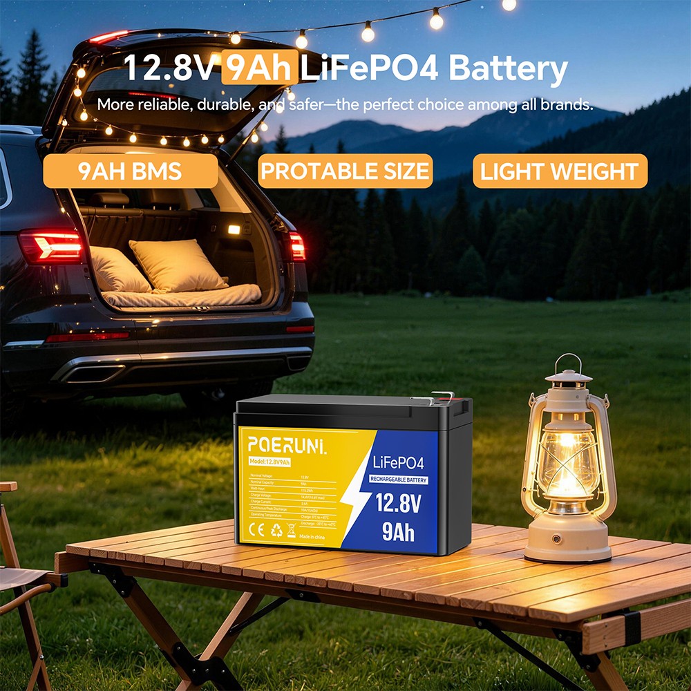 NEW 12V 9Ah LiFePO4 Battery Rechargeable Portable For Solar with BMS Deep Cycle