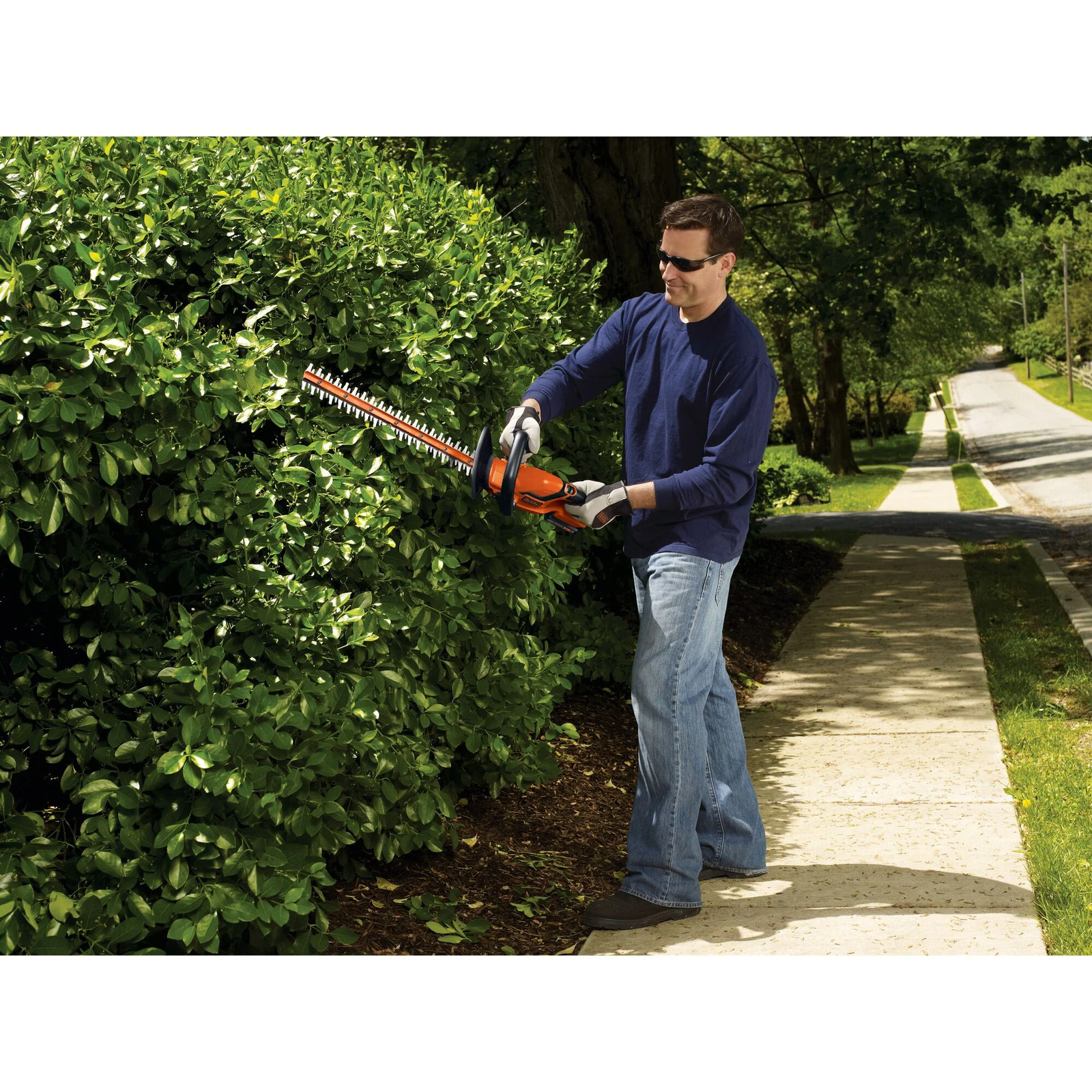 BLACK+DECKER 20V MAX* Cordless Hedge Trimmer, 22-Inch – LHT2220