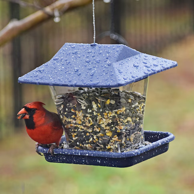 Style Selections Plastic Hanging Hopper Bird feeder – 1.7-lb