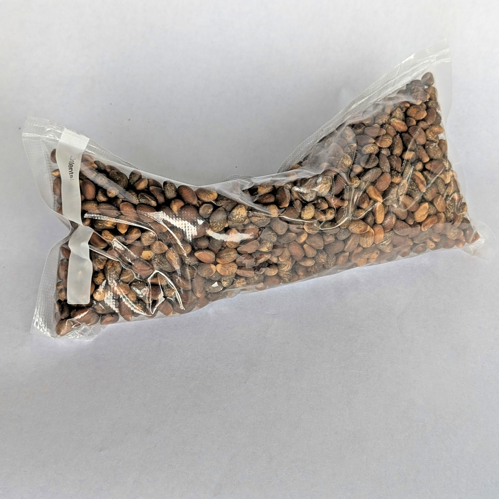 New Mexico Piñon Pine Nuts, 1lb Raw Pinon | Navajo Nation, Zuni Mountains