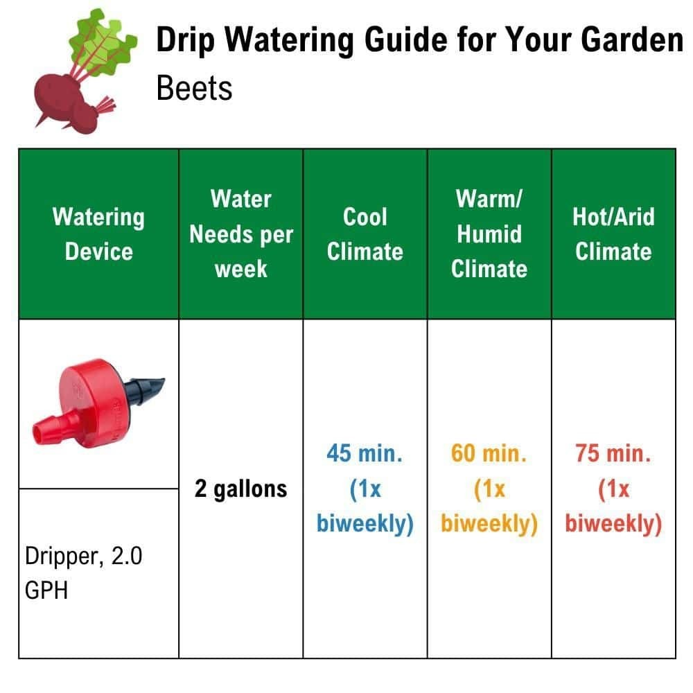 Rain Bird Drip Emitter Tubing 1/2 in x 100 ft Irrigation Hose 12 in Spacing
