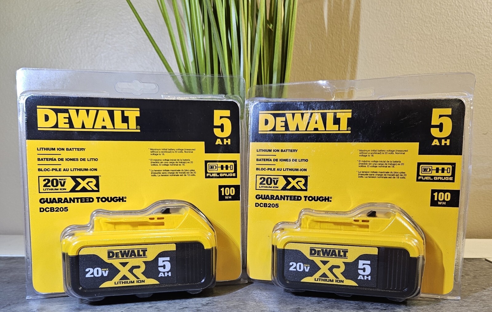 2 Brand New Dewalt 20 Volt 20v Max XR Li-Ion 5.0 AH Batteries DCB205 2023 Date