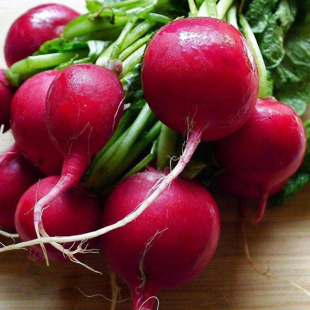 Cherry Belle Radish Seeds, NON-GMO, Fast Harvest, Variety Sizes, FREE SHIPPING