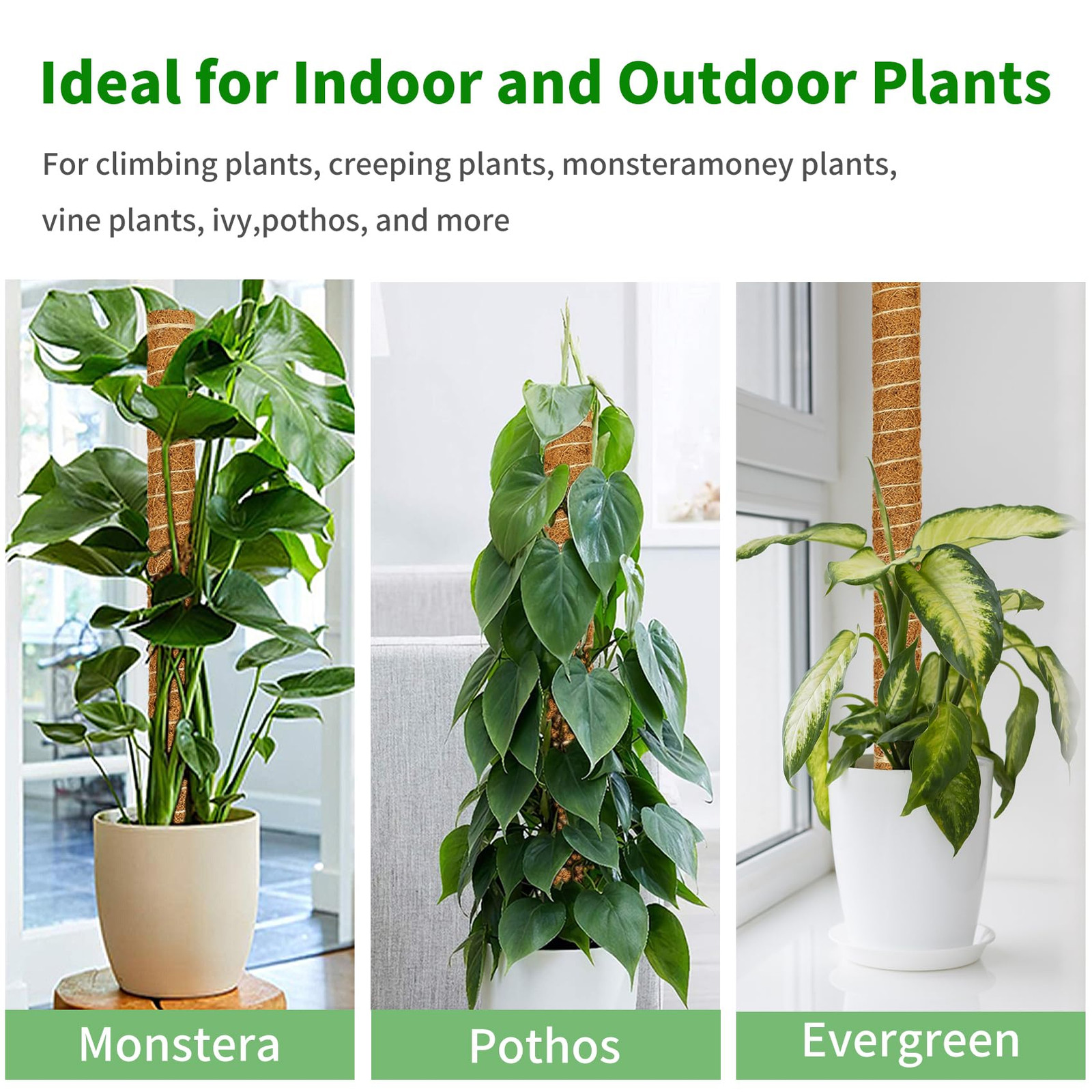 Moss Pole, 4 Pack 17inch Monstera Plant Support Stackable Moss Poles for Plants