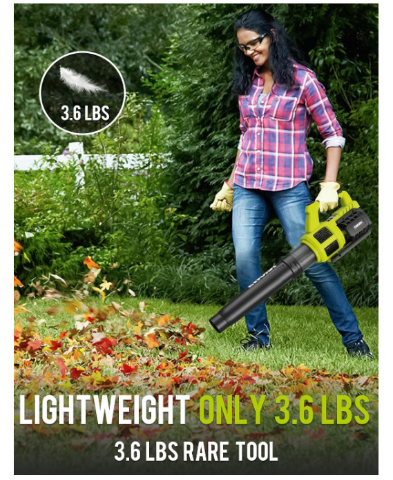 Cordless Leaf Blower 21V Electric Leaf Blower with (2) 3.0Ah Batteries