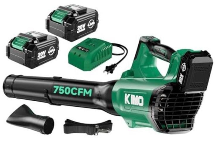 Cordless Leaf Blower with Battery and Charger, 750CFM Black and Light Green