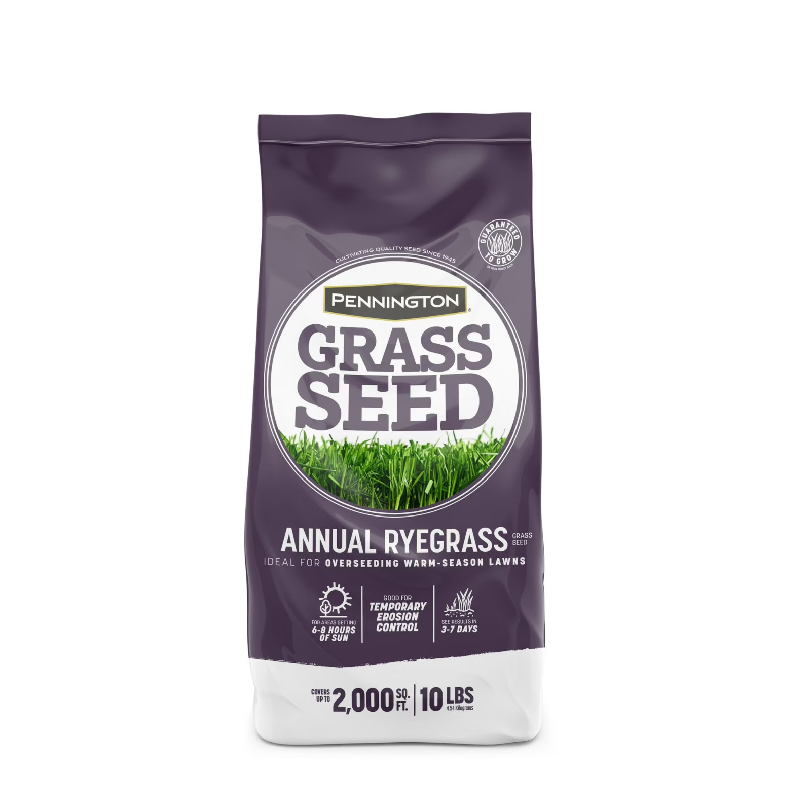 Pennington Annual Ryegrass Grass Seed Full Sun Partial Shade 10 lb Bag New