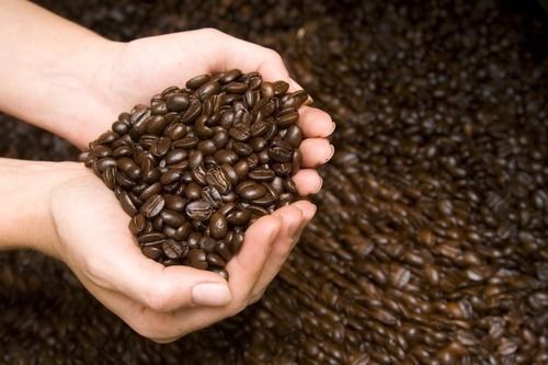 BRAZILIAN YELLOW BOURBON COFFEE BEANS MEDIUM ROASTED 5 POUNDS IN 1 POUND BAGS