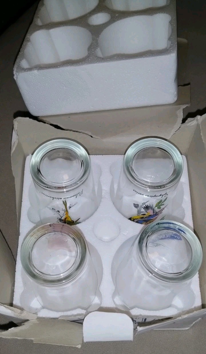 VINTAGE Crystal Emporium Bird Glasses Set 4 Tumblers Exotic Birds KIG Malaysia
