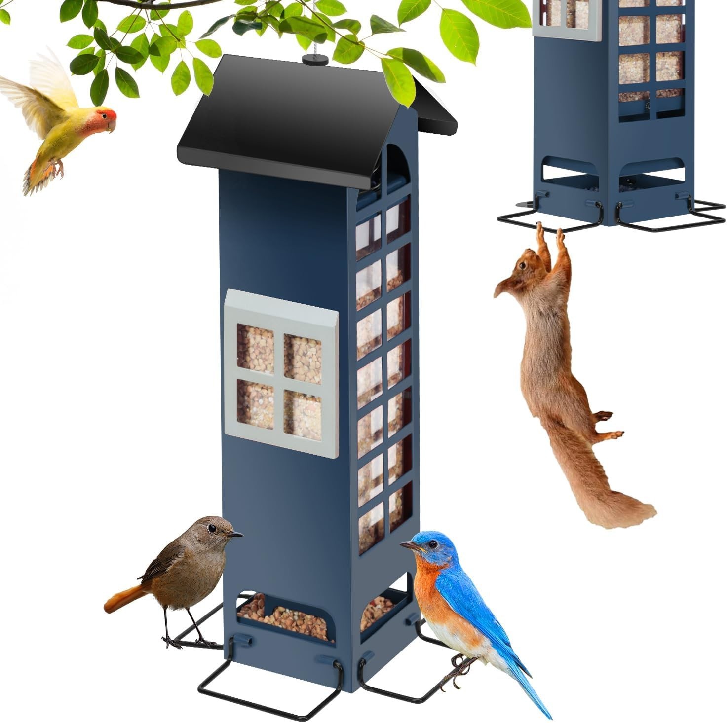 All-Weather Squirrel Proof Bird Feeder – 2LB Capacity, Adjustable Perches – Blue