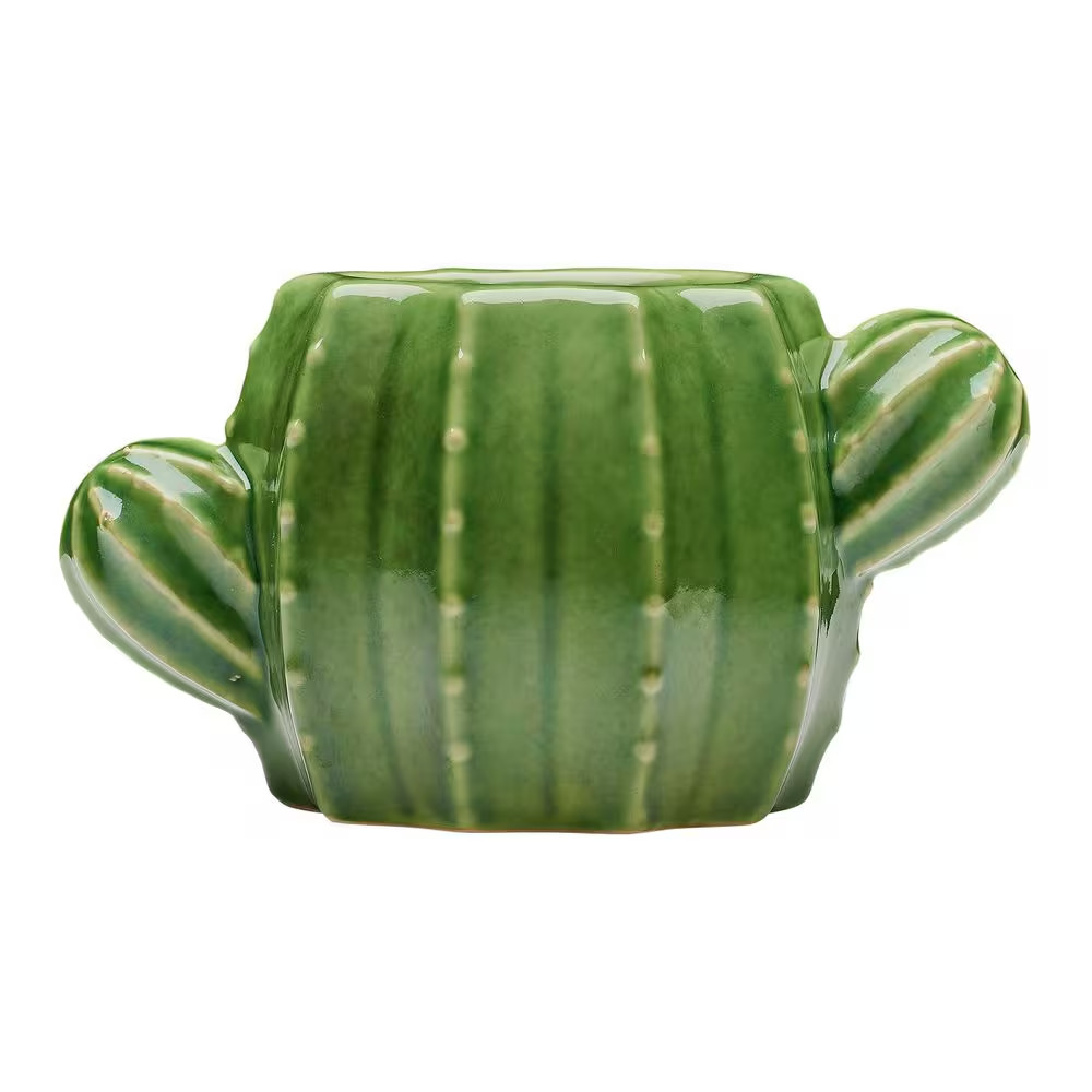 6.7 In. Raker Cactus Small Green Ceramic Pot (6.7 In. D X 3.7 In. H) with Draina