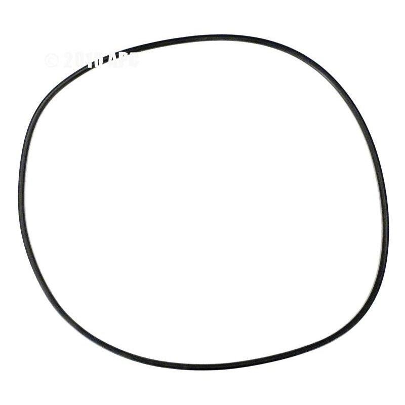 Hayward Body O-Ring CCX1000G