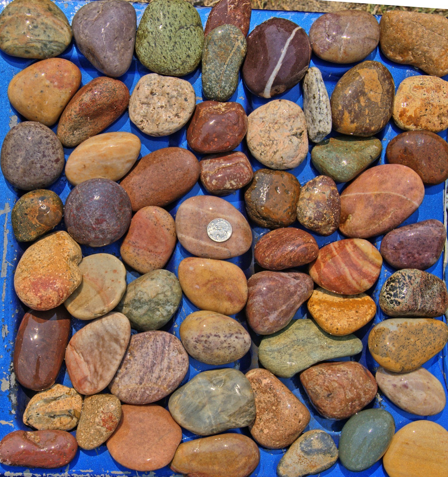 30 lbs Lot #1 Small Colorful River Rocks Water Feature Aquarium Landscape Pond