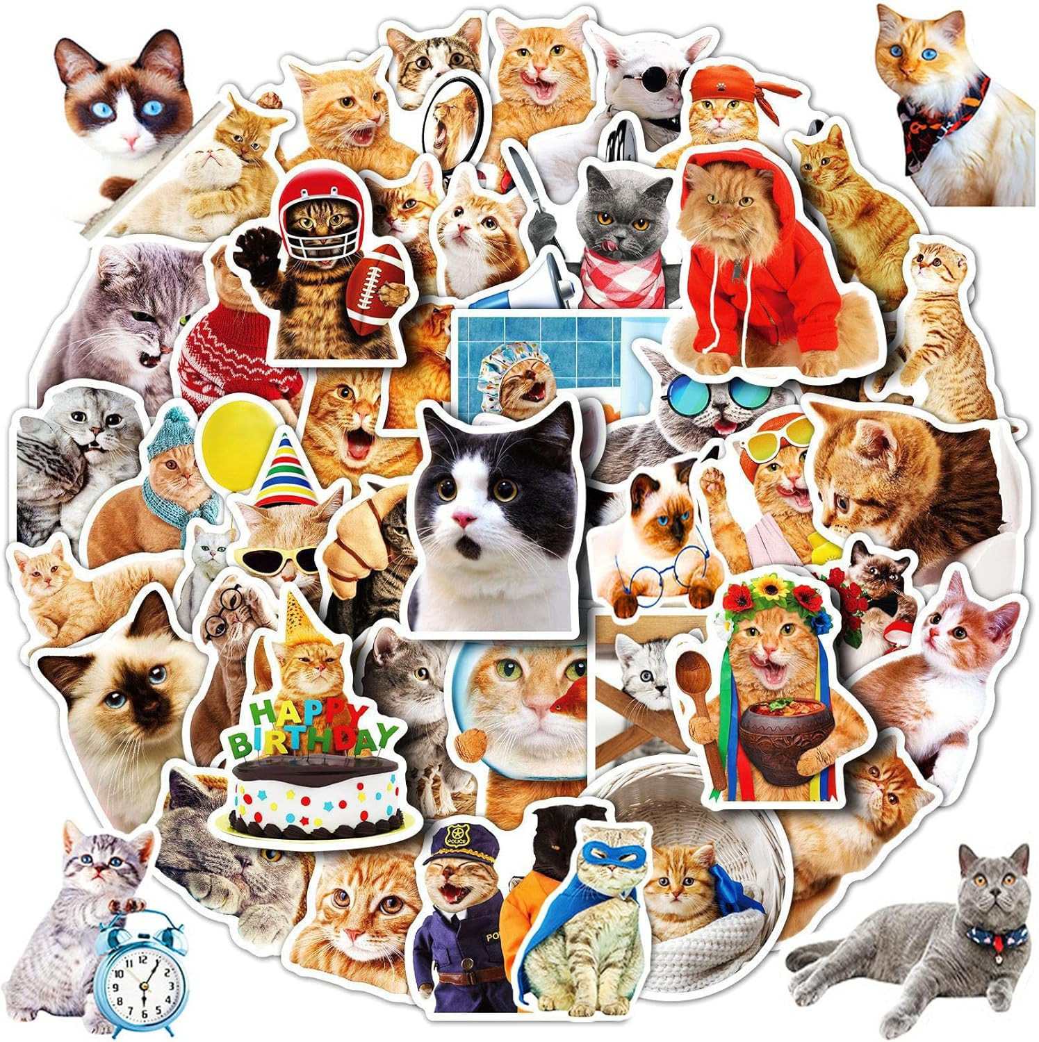 Cat Stickers for Kids Teens Girls Adults, 100 Pcs Cute Cat Stickers, Vinyl Water