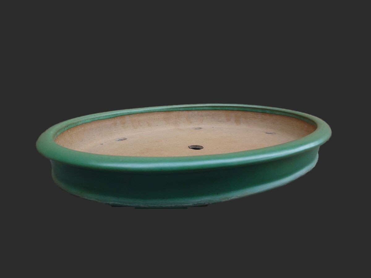Japanese Bonsai Pot Tokoname Green Glazed Oval Extra Large W41cm YAMAFUSA