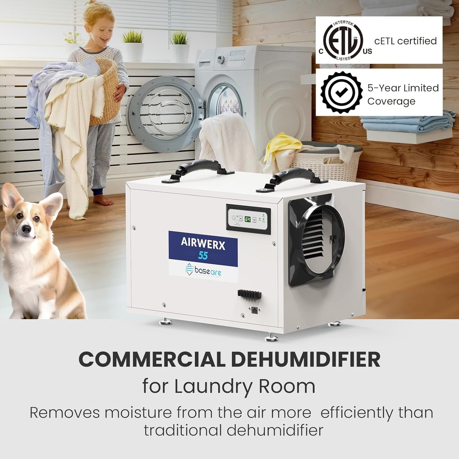 BaseAire 113Pint Crawl Space Dehumidifier with Drain Hose for 1200sq.ft Basement