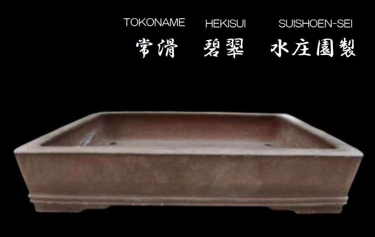 Japanese Bonsai pot TOKONAME UDEI Unglazed Rectangular shape Extra large W41cm