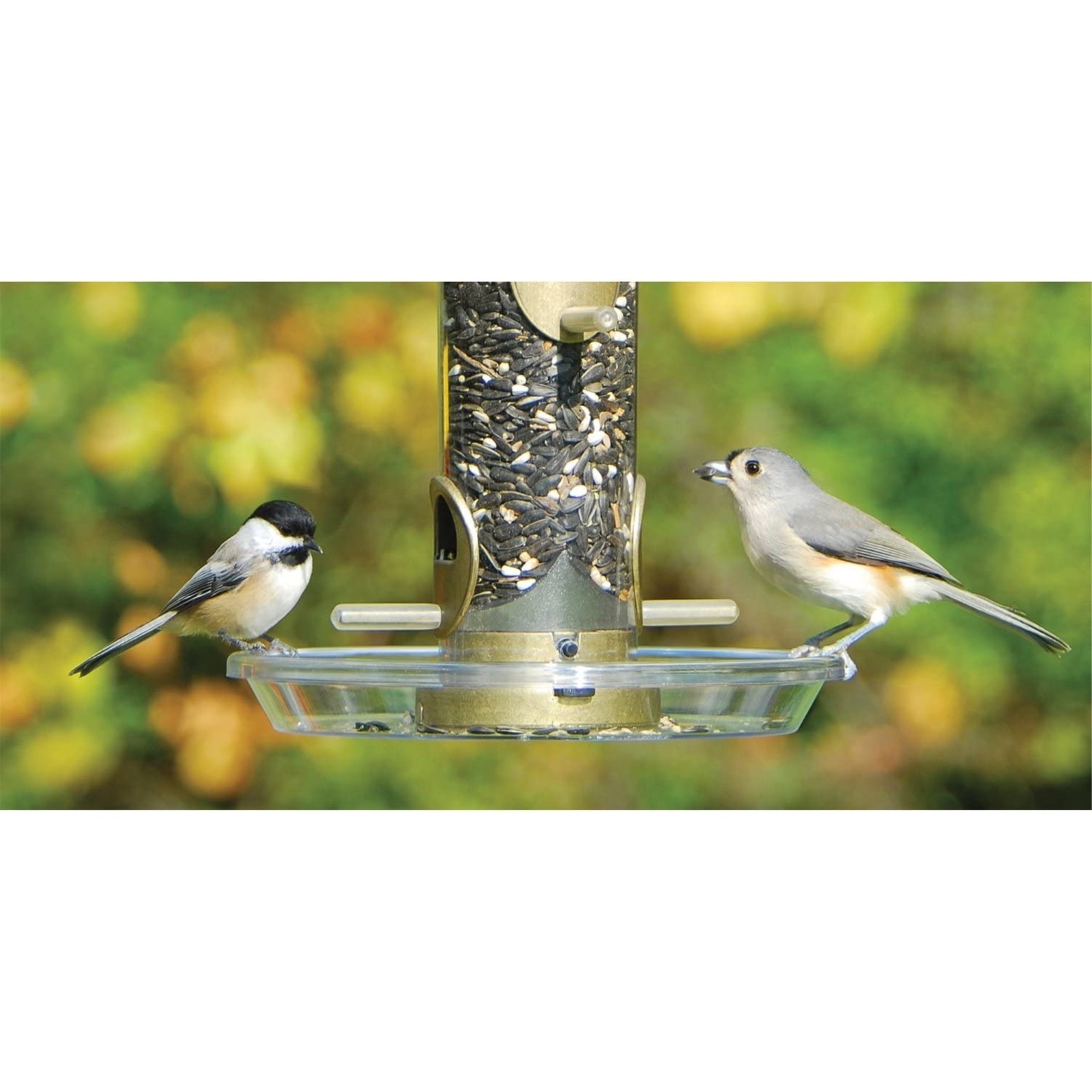Aspects (ASP050) Round Seed Tray, 8.5″ diameter