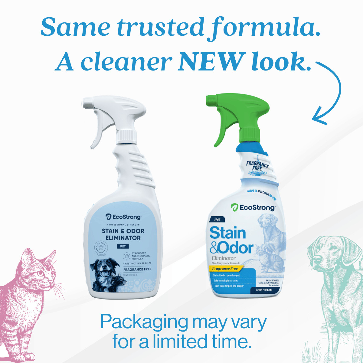 Fragrance Free Stain and Odor Eliminator