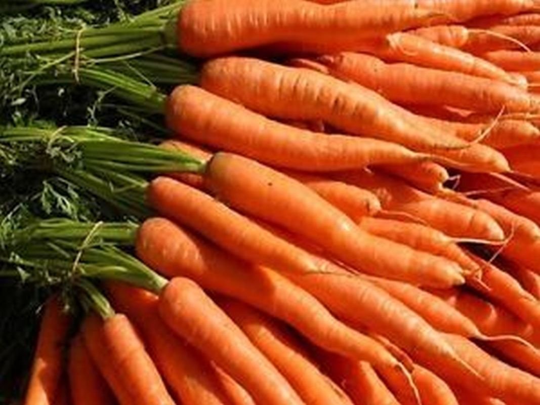 Imperator 58 Carrot Seeds, Danver, NON-GMO, Heirloom, Variety Sizes, FREE SHIP