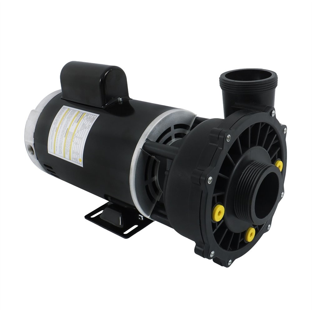 Executive 56-Frame 4HP Dual-Speed Spa Pump, 2in Intake, 2in Discharge