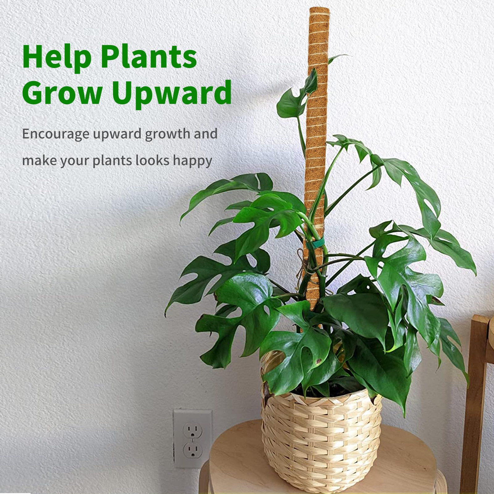 Moss Pole, 4 Pack 17inch Monstera Plant Support Stackable Moss Poles for Plants