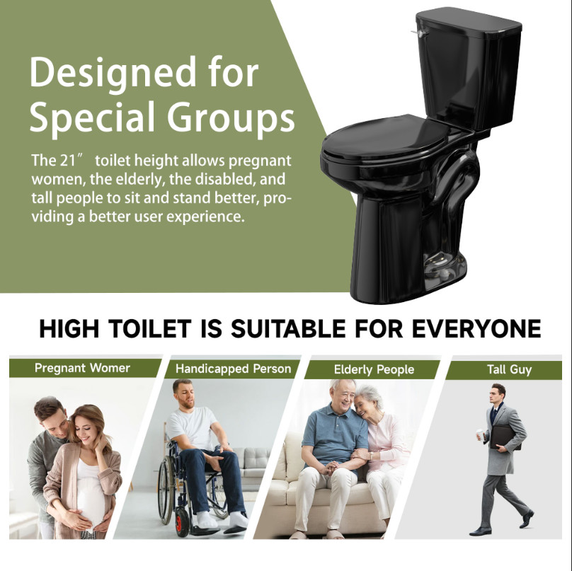 21″ Tall Two Piece Toilets for Seniors Elongated Bowl Soft-Close Seat 1.28 GPF