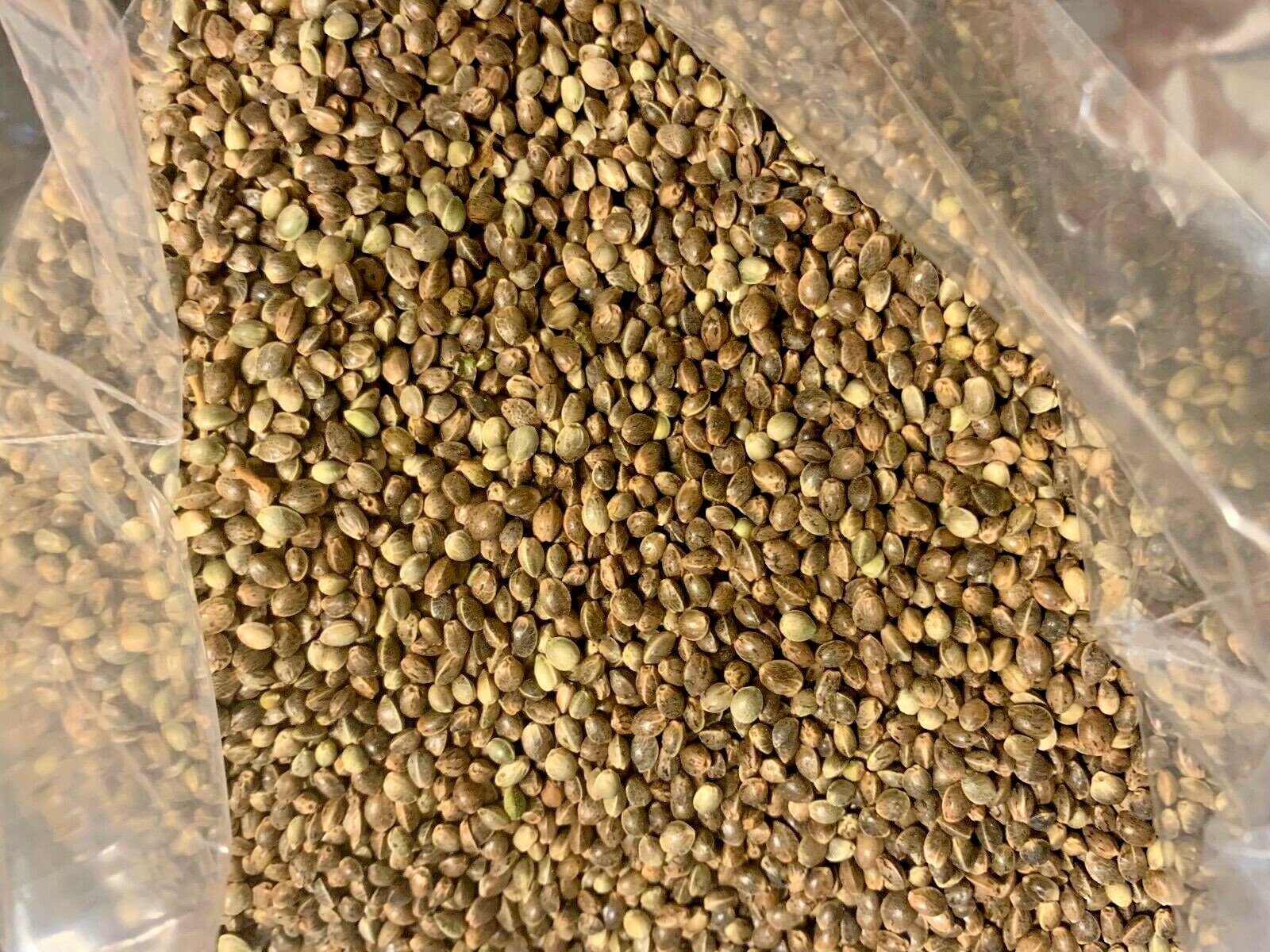 Ripkitty Premium Whole Hemp Seeds Nuts Organic Free Shipping