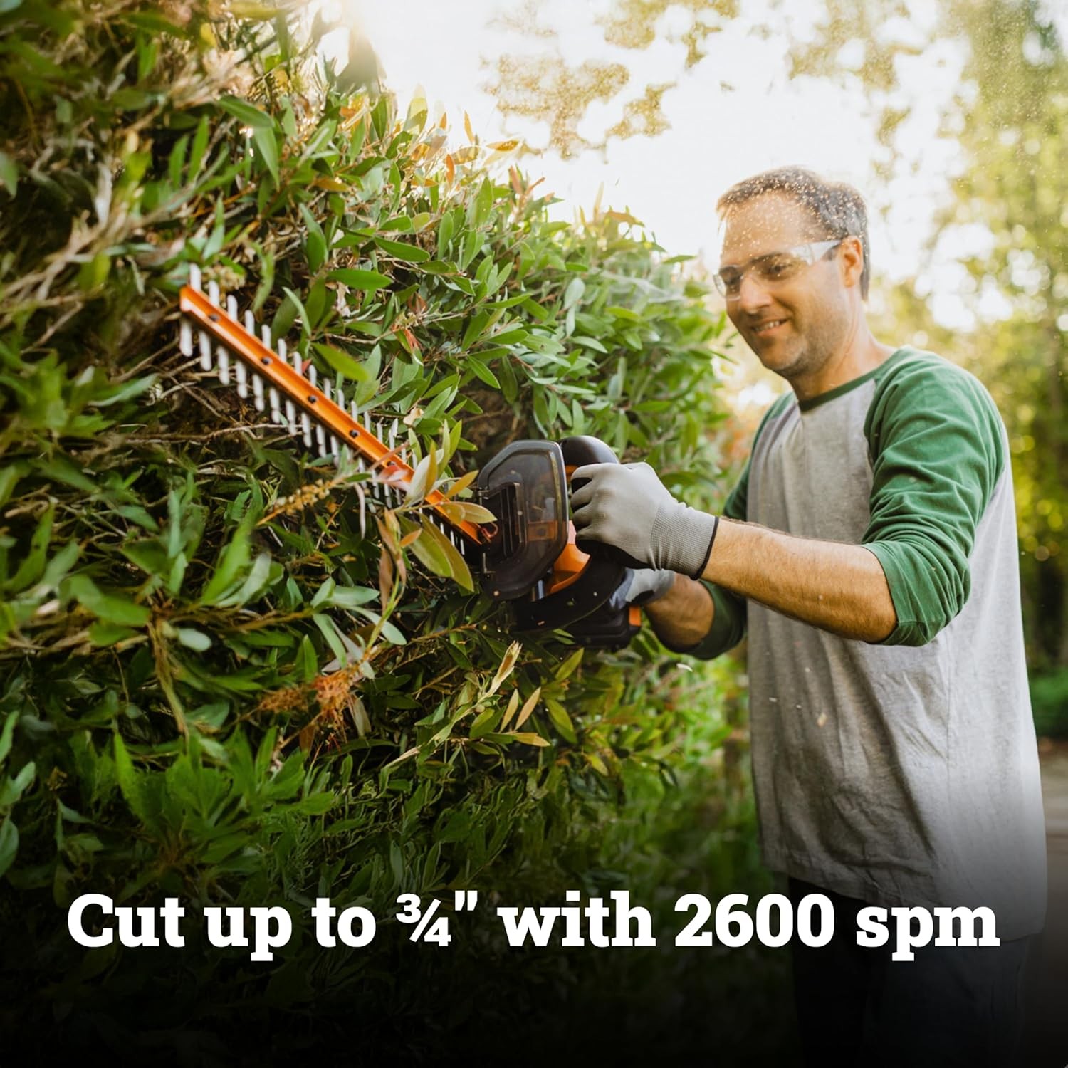 WORX 22″ Cordless Hedge Trimmer, Electric Hedge Trimmer with DualAction Blad…
