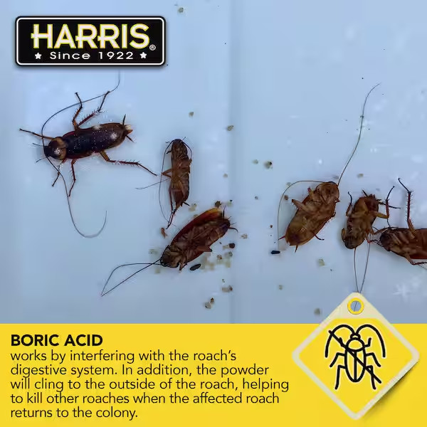 HARRIS Boric Acid Roach and Silverfish Killer Powder w/Lure for Insects (16oz)..