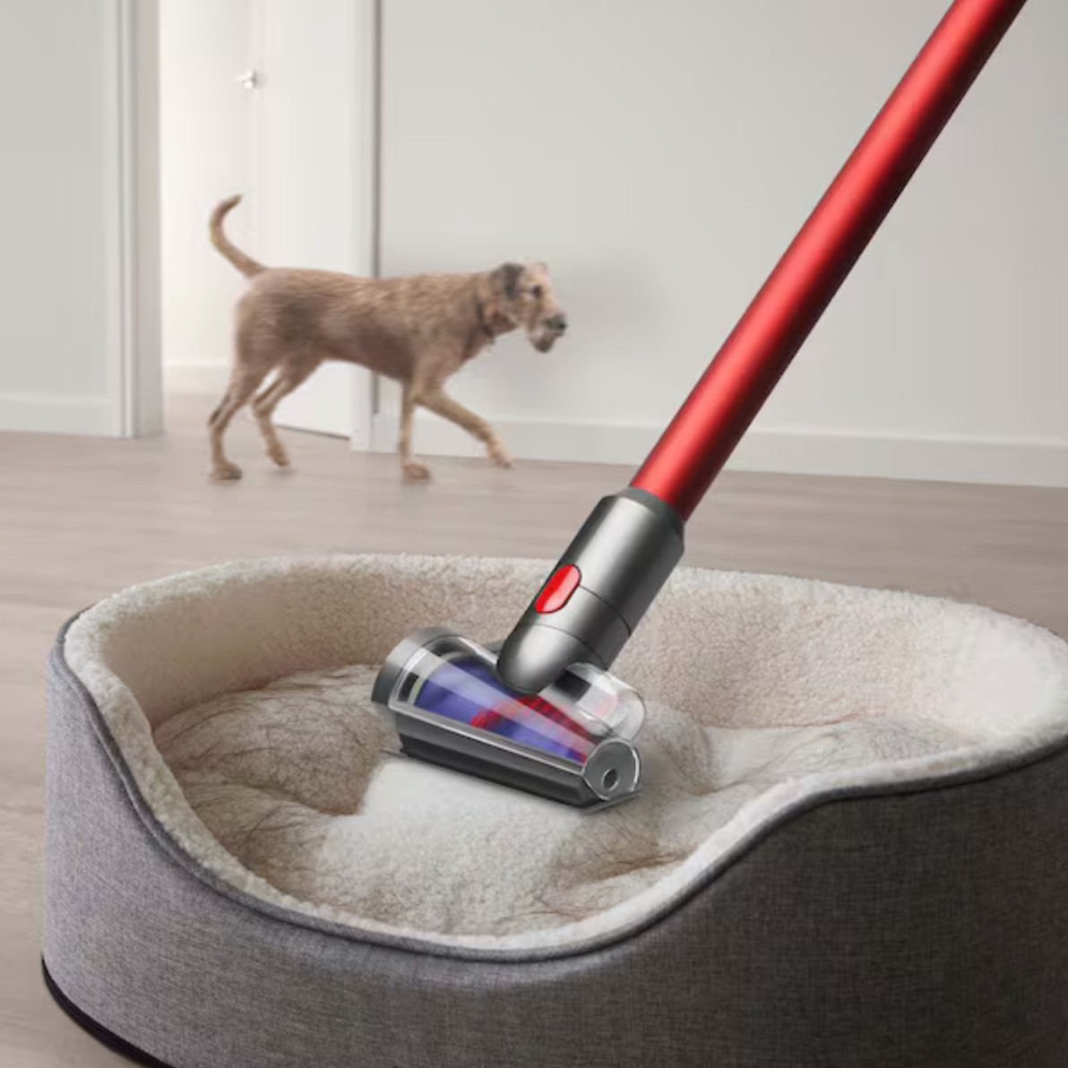 Dyson Outsize+ PLUS Stick Vacuum Cordless Nickel Red SV29 (394430-01) – New, NIB