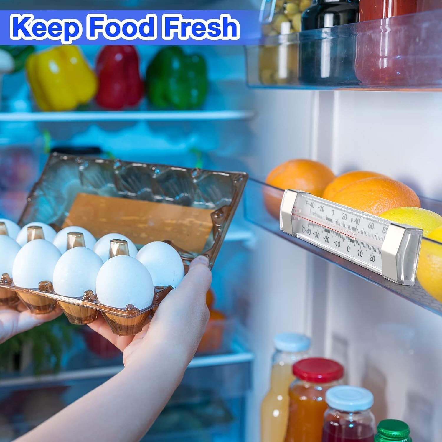 Analog Refrigerator Freezer Thermometer Fridge pack of 2