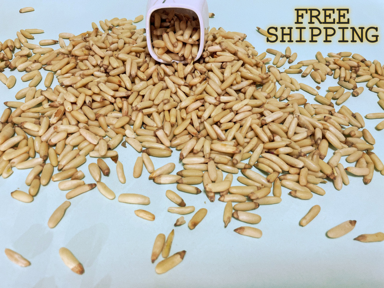 pine nuts Nuts – Whole Nuts, FOODS Pine Nuts, NOW FOODS Pine, Pine Nuts 250g A+