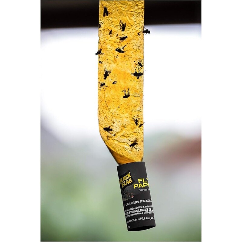 Insect Trap Fly Paper Sticky Traps Flies Mosquitoes Caterpillars 4 Pack New
